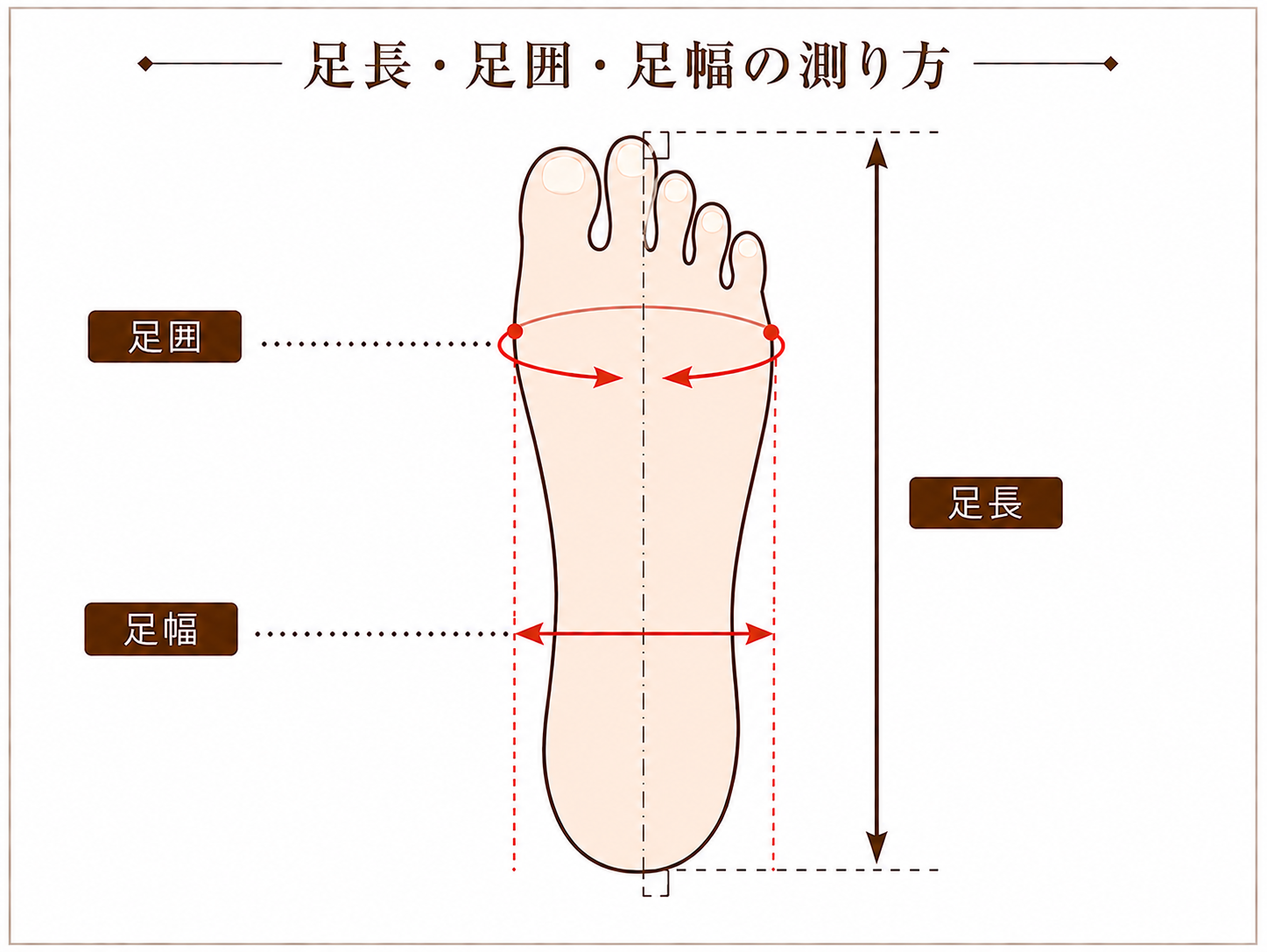 足長・足囲・足幅の測定箇所を示した図